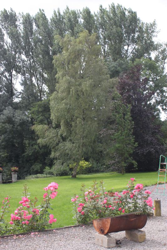 2010_Assesse_019